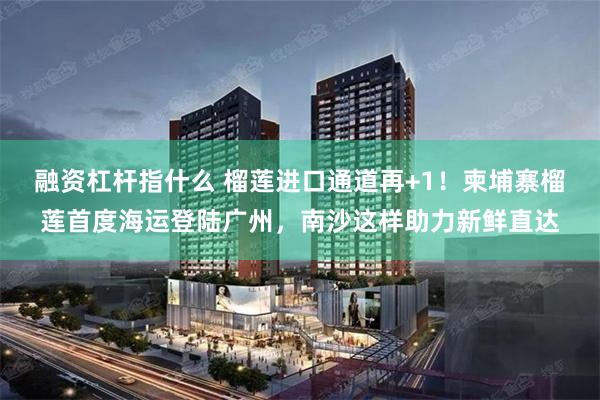 融资杠杆指什么 榴莲进口通道再+1!柬埔寨榴莲首度海运登陆广州,南沙这样助力新鲜直达