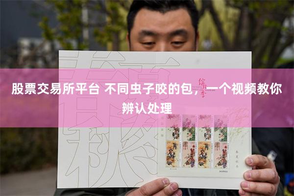 股票交易所平台 不同虫子咬的包，一个视频教你辨认处理