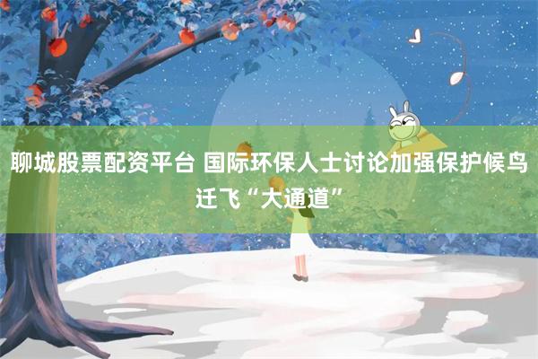 聊城股票配资平台 国际环保人士讨论加强保护候鸟迁飞“大通道”