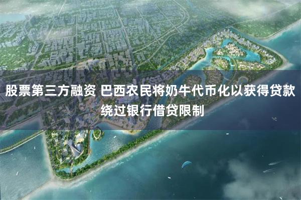 股票第三方融资 巴西农民将奶牛代币化以获得贷款 绕过银行借贷限制