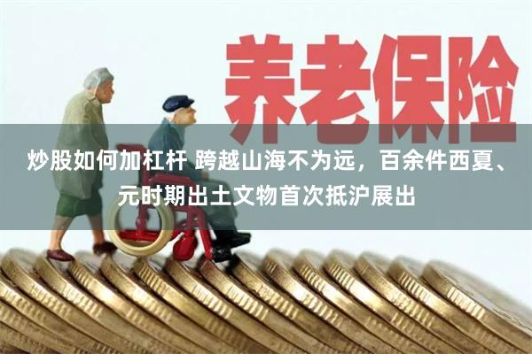 炒股如何加杠杆 跨越山海不为远，百余件西夏、元时期出土文物首次抵沪展出