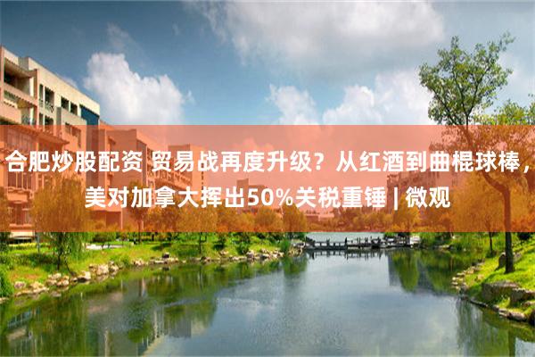 合肥炒股配资 贸易战再度升级？从红酒到曲棍球棒，美对加拿大挥出50%关税重锤 | 微观