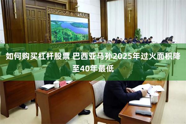 如何购买杠杆股票 巴西亚马孙2025年过火面积降至40年最低
