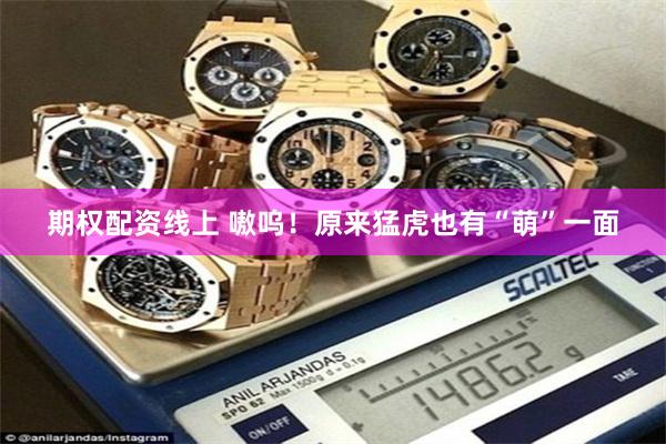 期权配资线上 嗷呜!原来猛虎也有“萌”一面