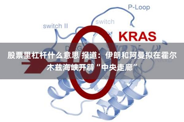 股票里杠杆什么意思 报道：伊朗和阿曼拟在霍尔木兹海峡开辟“中央走廊”