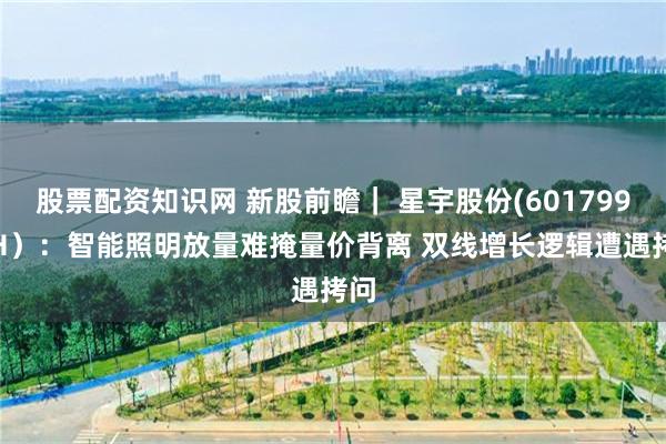 股票配资知识网 新股前瞻｜ 星宇股份(601799.SH）：智能照明放量难掩量价背离 双线增长逻辑遭遇拷问