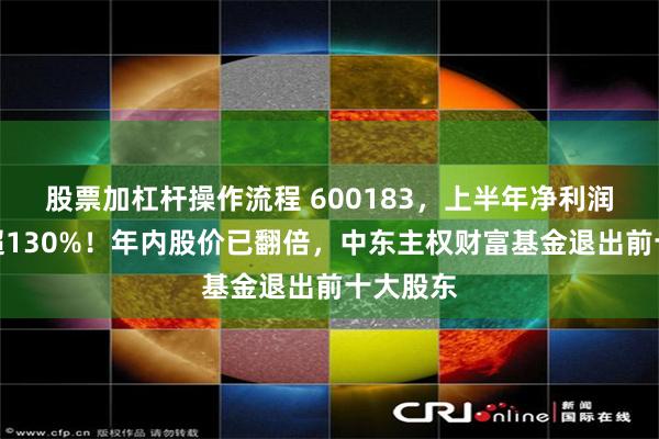 股票加杠杆操作流程 600183，上半年净利润同比增超130%！年内股价已翻倍，中东主权财富基金退出前十大股东