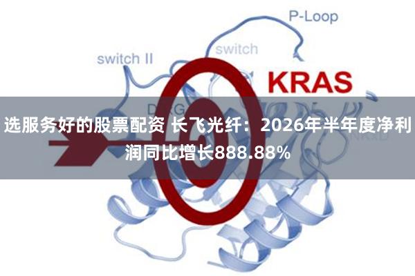 选服务好的股票配资 长飞光纤：2026年半年度净利润同比增长888.88%