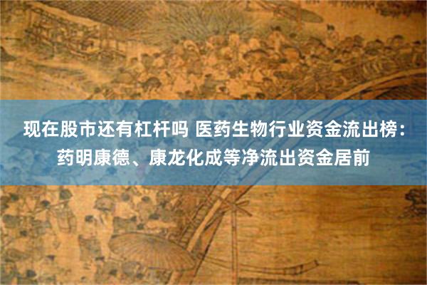 现在股市还有杠杆吗 医药生物行业资金流出榜：药明康德、康龙化成等净流出资金居前