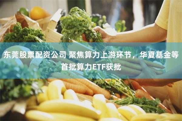 东莞股票配资公司 聚焦算力上游环节，华夏基金等首批算力ETF获批