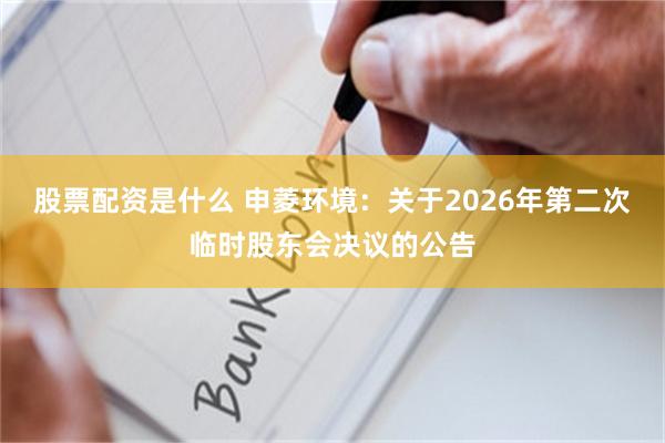 股票配资是什么 申菱环境:关于2026年第二次临时股东会决议的公告