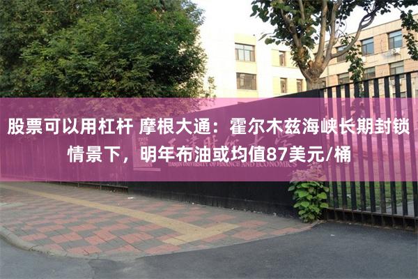 股票可以用杠杆 摩根大通：霍尔木兹海峡长期封锁情景下，明年布油或均值87美元/桶