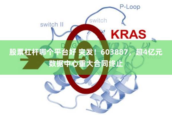 股票杠杆哪个平台好 突发！603887，超4亿元数据中心重大合同终止