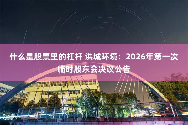 什么是股票里的杠杆 洪城环境：2026年第一次临时股东会决议公告