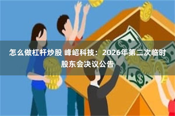 怎么做杠杆炒股 峰岹科技：2026年第二次临时股东会决议公告