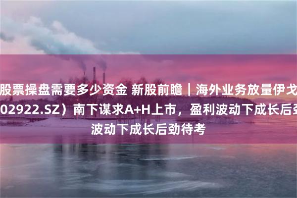 股票操盘需要多少资金 新股前瞻｜海外业务放量伊戈尔（002922.SZ）南下谋求A+H上市，盈利波动下成长后劲待考