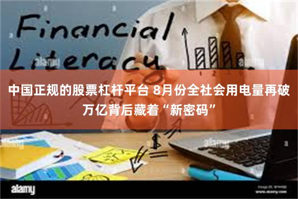 中国正规的股票杠杆平台 8月份全社会用电量再破万亿背后藏着“新密码”