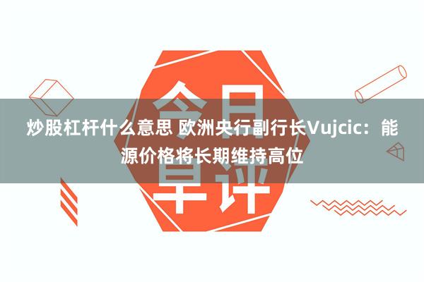 炒股杠杆什么意思 欧洲央行副行长Vujcic：能源价格将长期维持高位
