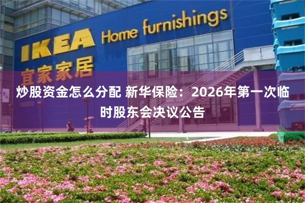 炒股资金怎么分配 新华保险:2026年第一次临时股东会决议公告
