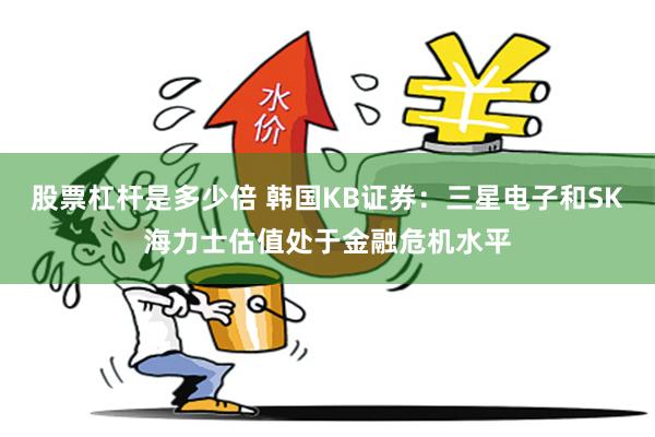 股票杠杆是多少倍 韩国KB证券：三星电子和SK海力士估值处于金融危机水平